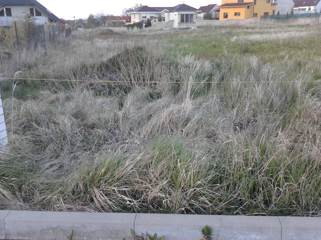 Image 2012-04-25_193009.jpg