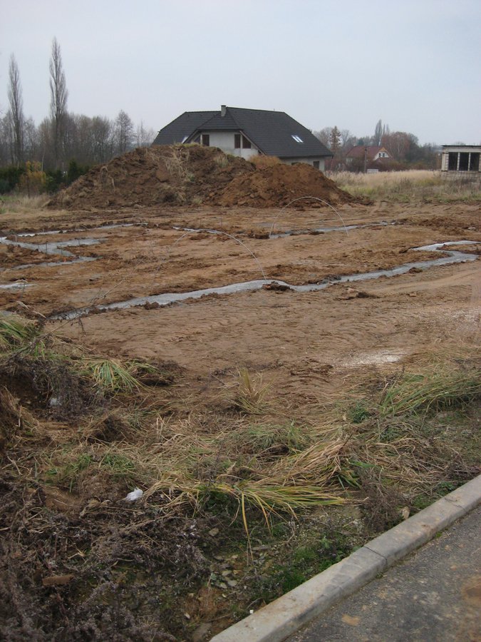 Image 2012-11-17_IMG_2049.JPG