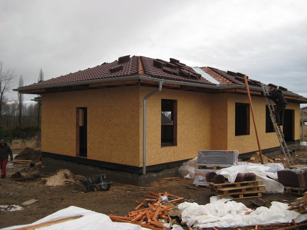 Image 2013-01-30_IMG_2171.JPG