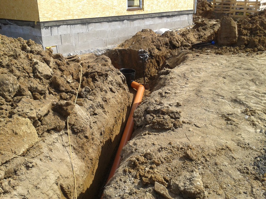 Image 2013-04-16_113956.jpg