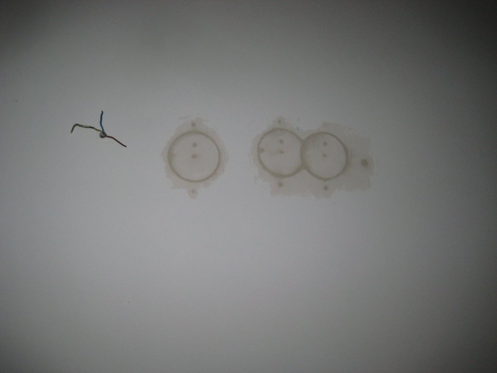 Image 2014-05-11_IMG_3253.JPG