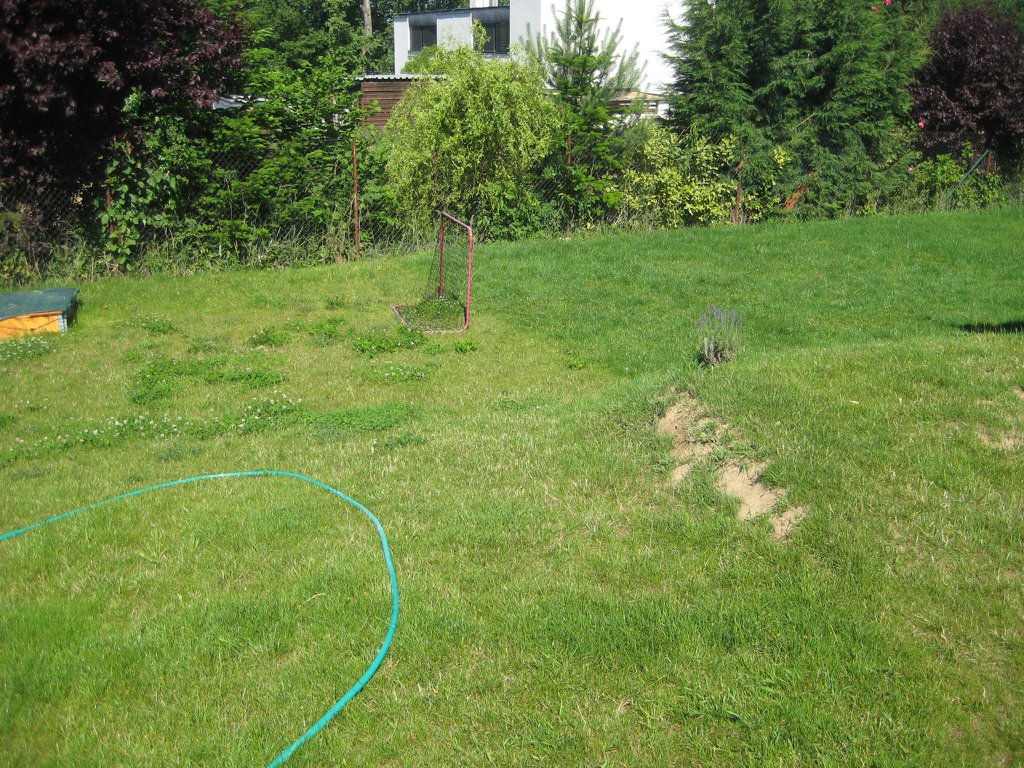 Image 2015-06-28_IMG_4288.JPG