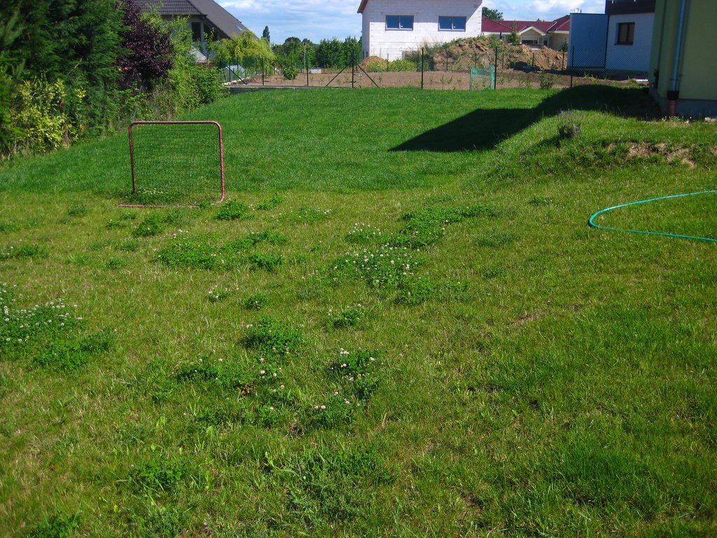 Image 2015-06-28_IMG_4291.JPG