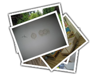 003-phase album picture