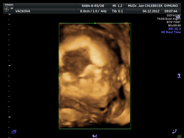 Image IMG_20121204_1_3.jpg