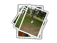 023-dovolena 2014 album picture