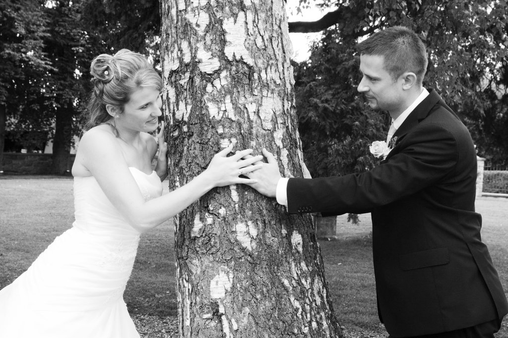 Image IMG_2135Cb.jpg