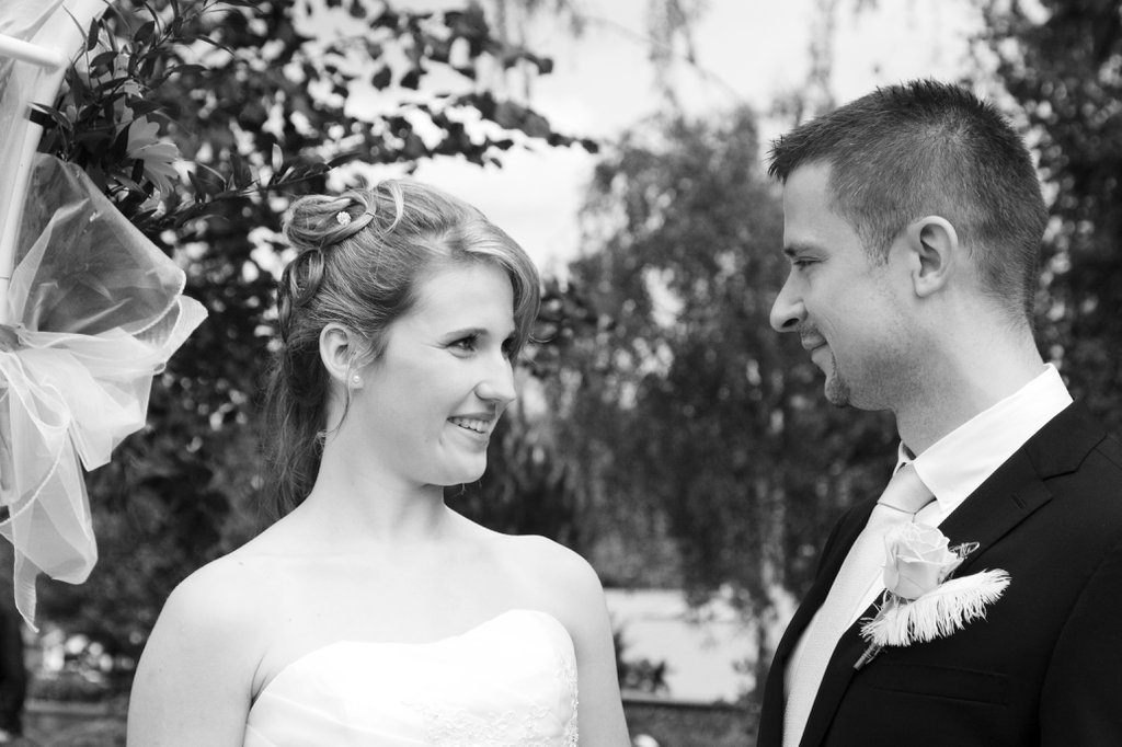 Image IMG_2178Cb.jpg