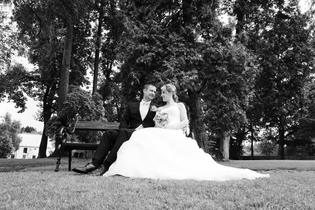 Image IMG_3537Cb.jpg