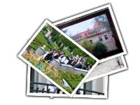 2-Mira album picture